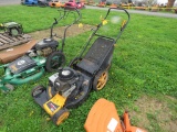 Poulan 21inch Push Mower