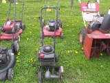 Craftsman Edger