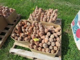 Lot of Clay Pots