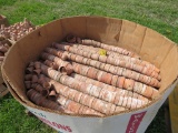 Lot of Clay Pots