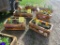 2 Wooden Planter Boxes w/Flowers