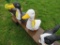 Concrete Duck