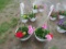 2 Geranium Hanging Baskets