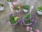 2 Petunia Hanging Baskets