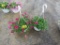 2 Petunia Hanging Baskets