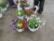 2 Petunia Hanging Baskets