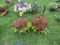 2 Hanging Baskets