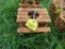 2 Picnic Table Planters