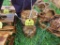 2 Small Hanging Wooden Planters