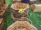 2 Large Hanging Planters