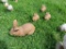 Concrete Rabbit Family