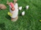 Concrete Chicken Family