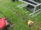 Poulan 445 Pro Pole Saw