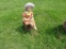 Concrete Girl w/Fishing Pole