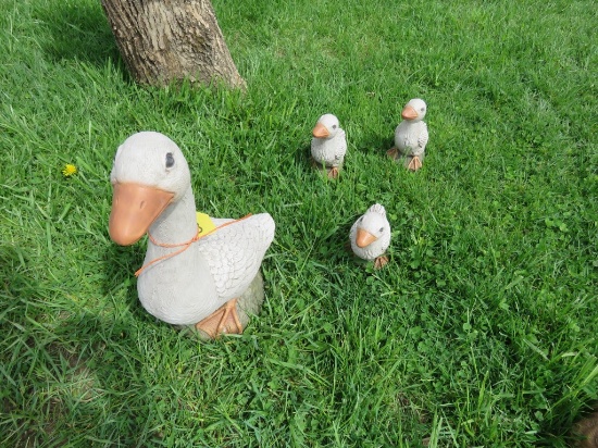 Concrete Duck Family