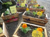 2 Wooden Planter Boxes w/Flowers