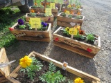 2 Wooden Planter Boxes w/Flowers
