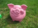 Concrete Pig