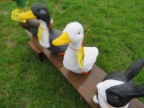 Concrete Duck
