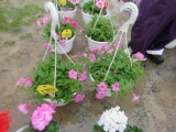 2 Petunia Hanging Baskets