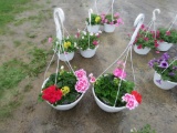 2 Geranium Hanging Baskets