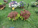 2 Hanging Baskets