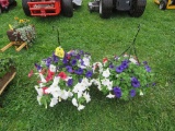 2 Hanging Baskets