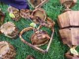 2 Wooden Heart Hanging Planter