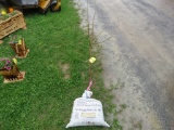Apple Tree