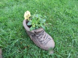 Concrete Shoe w/Flowers