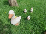 Concrete Duck Family