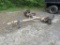 Car Dolly