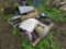Pallet Lot