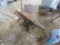 Large Anvil