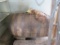 50gal Wooden Barrel w/Vinegar