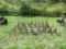 9ft Drag Harrow