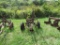2 btm Trailer Plow