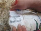 Open Bag of Seed Corn