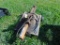 Kelly Log Splitter