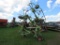 Claas 770 3pt 6 Star Tedder