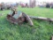 20ft Badger Silo Unloader