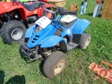 2008 Wild Fire Kids 4 Wheeler