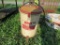 Brot sand blaster
