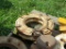 Wheel weights