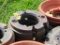 Wheel weights
