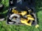 Dewalt 18v tools