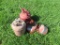 Gas cans