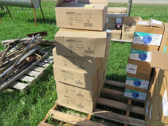 Flood lightbulbs