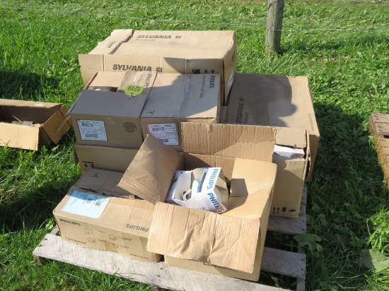 Pallet of lightbulbs