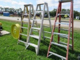 6ft alum ladder